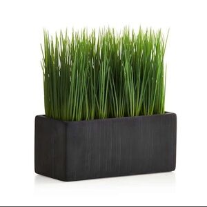 Crate & Barrel faux potted grass
